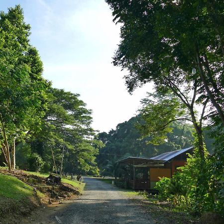 Sepilok B&B Bagian luar foto