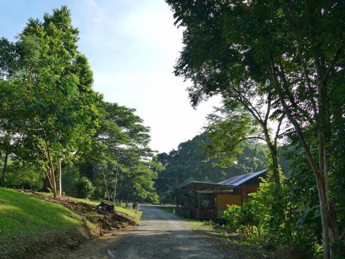 Sepilok B&B Bagian luar foto